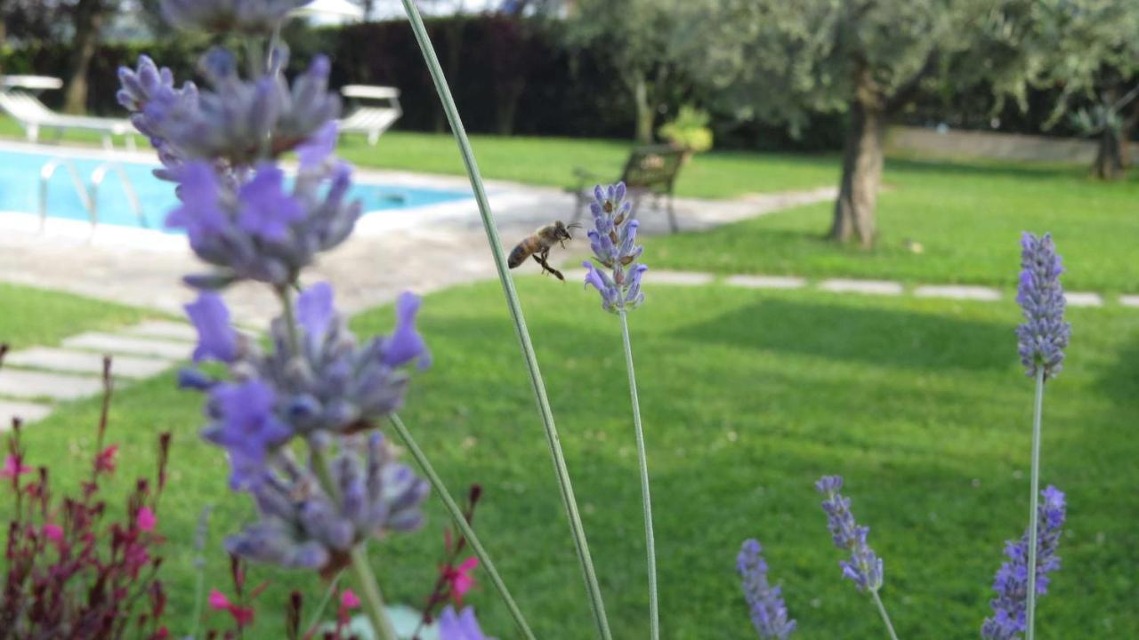 Il Gelso Di Barcuzzi Panzió Lonato Kültér fotó